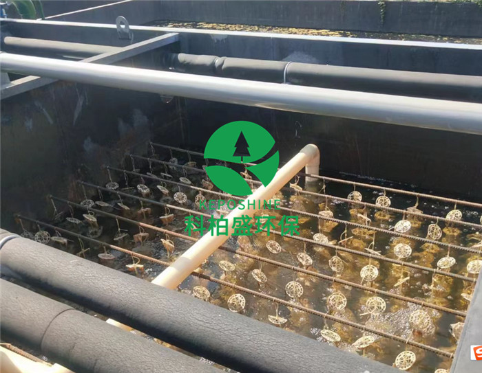 ��ҳ | J9�������޹�˾����